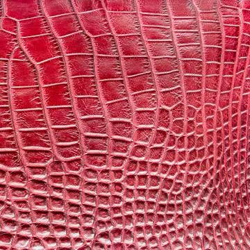 Red crocodile leather texture  background Stock Photos