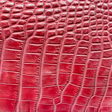 Red crocodile leather texture  background Stock Photos