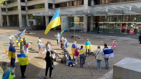 Red Cross protest 스톡 동영상 238442305