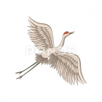 Red-crowned crane flying with wide open wings. Wild creature. Fauna theme Stock Illustration