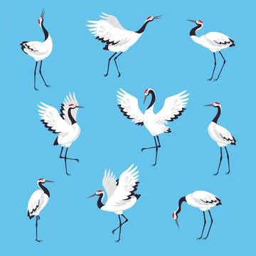 Red Crowned Crane as Long-legged and Long-necked Bird in Different Pose on Blue Stock Illustration
