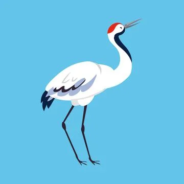 Red Crowned Crane as Long-legged and Long-necked Bird Standing on Blue Stock Illustration