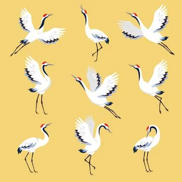 Red Crowned Crane as Long-legged and Long-necked Bird in Different Pose on Stock Illustration