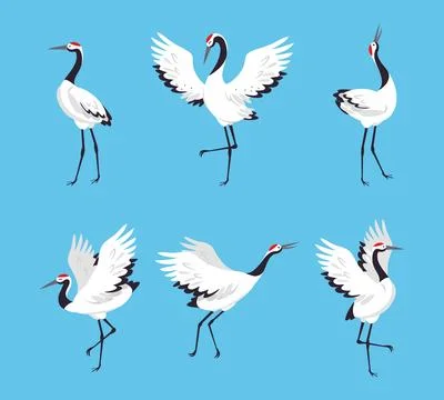 Red Crowned Crane as Long-legged and Long-necked Bird in Different Pose Vector Stock Illustration