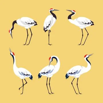 Red Crowned Crane as Long-legged and Long-necked Bird in Different Pose Vector Stock Illustration