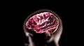 red crystal brain and head Illustration