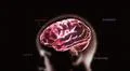 red crystal brain and head timecode Illustration
