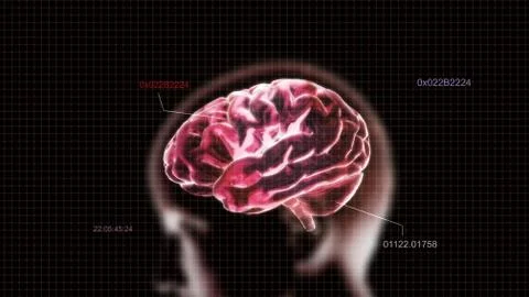 Red crystal brain and head timecode Stock Illustration