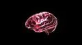red crystal brain still render Illustration