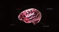 red crystal brain timecode Illustration