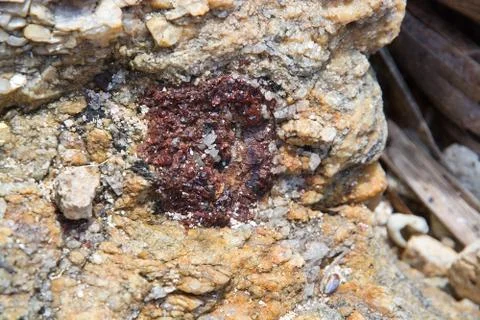 Red crystals closeup Stock Photos