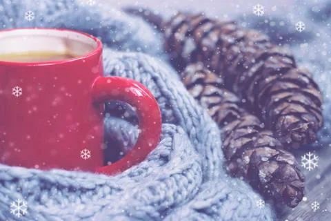 Red cup of hot tea with pine cones and scarf decoration Foto stock