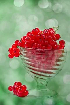 Red currant on the abstract background Stock Photos