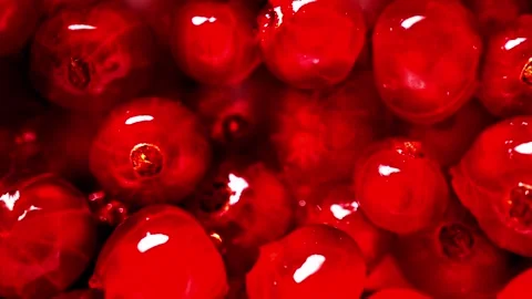 Red currant berries, animation Stock Footage 154154058