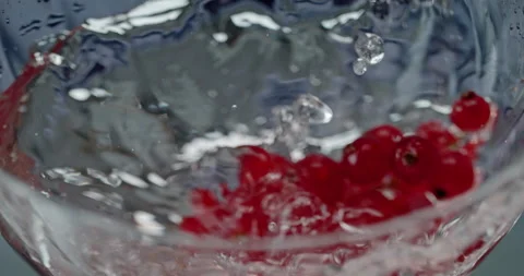 Red Currant berries falling into rose in Super Slowmotion 1000 fps 스톡 동영상 161800974