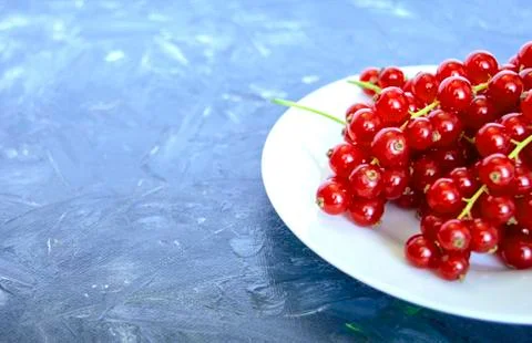 Red currant berries on grey rustic background, White plate with fresh berries Stock Photos