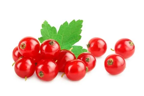 Red currant berries with leaf isolated on white background Stock Photos