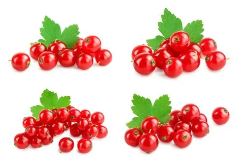 Red currant berries with leaf isolated on white background. Set or collection Foto stock