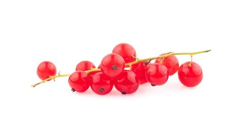 Red currant berries with leaf isolated on white background Stock Photos