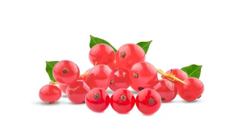 Red currant berries with leafs an isolated on white background Stock Photos