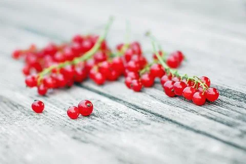 Red currant berries lying on old gray wooden surface, selective focus, shal.. Stock Photos