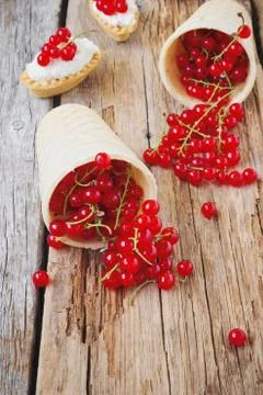 Red currant berries Stock Photos