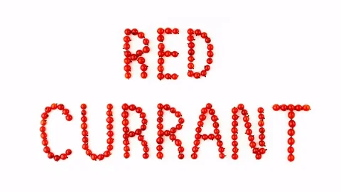 Red currant berries on white background. Fruit font, letters. 4K Stock Footage 80224357