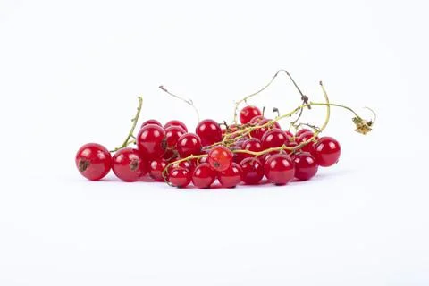 Red currant berries on White Background Stock Photos