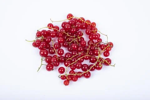 Red currant berries on White Background Stock Photos