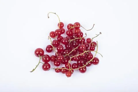 Red currant berries on White Background Stock Photos