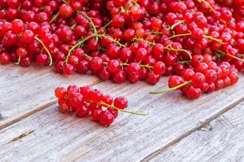 Red currant berries on wodden table Stock Photos
