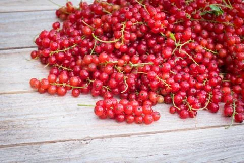 Red currant berries on wodden table Stock Photos