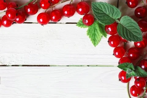 Red currant berry background Stock Photos