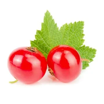 Red currant berry with leaf isolated on white background macro Foto stock