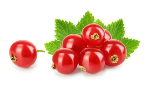 Red currant berry with leaf isolated on white background Foto stock