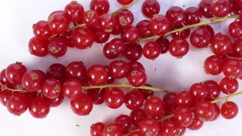 Red currant berry on white table Stock-Footage 156797740