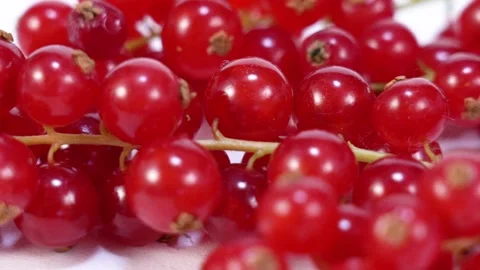 Red currant berry on white table Stock Footage 156797741