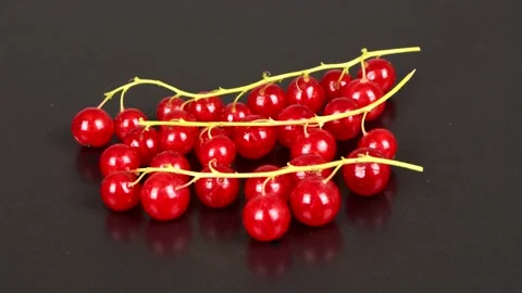 Red currant on a black background. Side view. Loop motion. Stock Footage 160245774