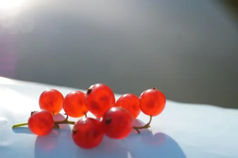 Red currant on a blue background.Blurred background. Useful vitamins. Foto stock