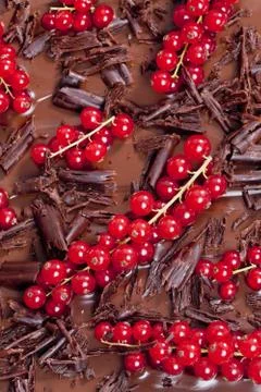 Red currant with chocolate Stock Photos