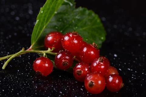 The red currant close up Stock Photos