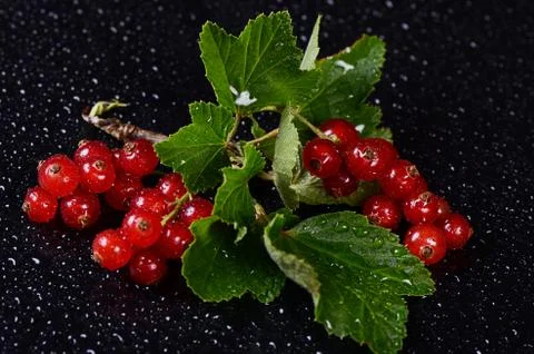 The red currant close up Foto stock