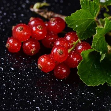 The red currant close up Stock Photos