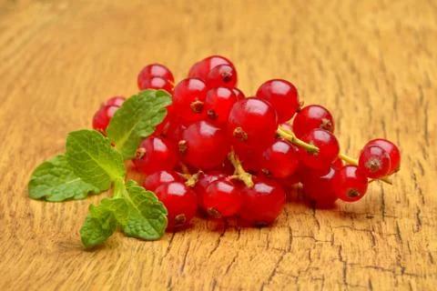 Red currant close up Stock Photos