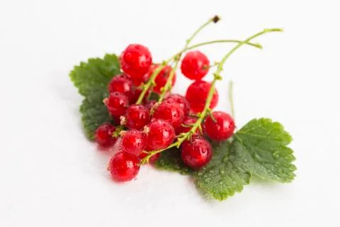 Red Currant close up Stock Photos