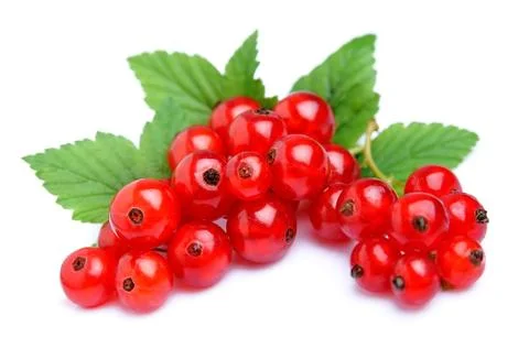 Red currant close up Foto stock