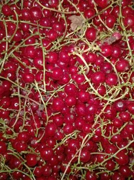 Red currant close up Stock Photos