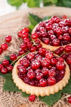 Red currant cupcake Fotos Stock