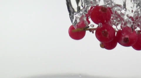 Red Currant Falling in Water, Slow Motion. Stock Footage 61643259