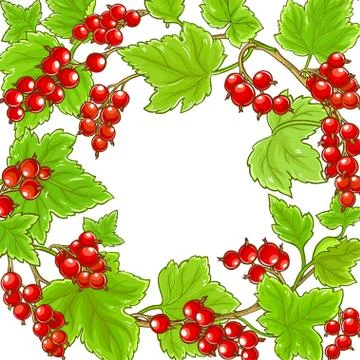 Red currant frame Stock Illustration